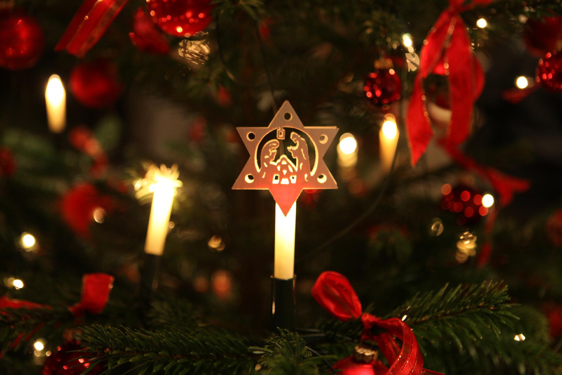 Weihnachtsstern